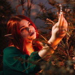 Дарья Плесовских, аватар фотографа