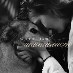 Полина Котова, аватар фотографа