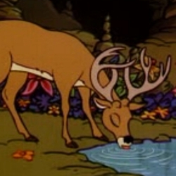 Ольга Мацаева, аватар фотографа